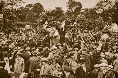 Tierfahrten im Londoner Zoo von English Photographer